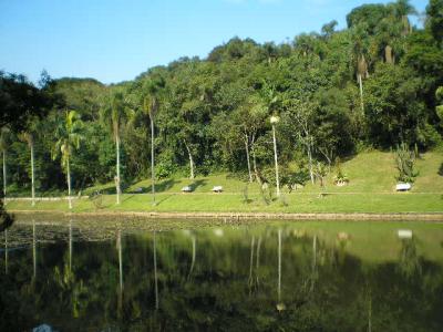 20090301191340-vis-o-de-fundo-lago-jardim-botanico.jpg