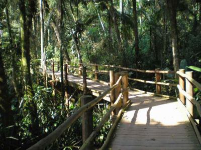 20090906200001-trilha-jardim-botanico-i.jpg